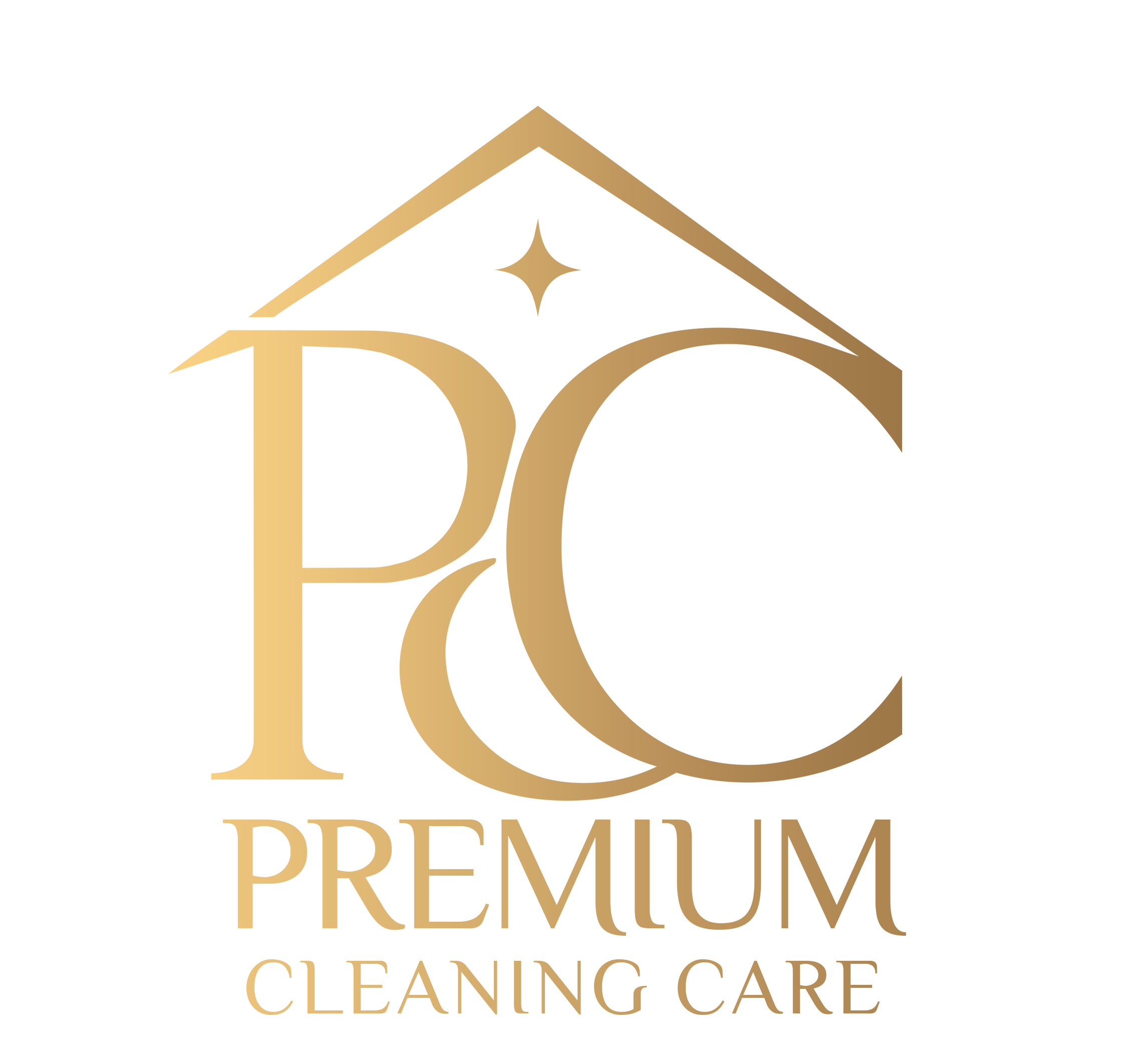 Premium Cleaning Care